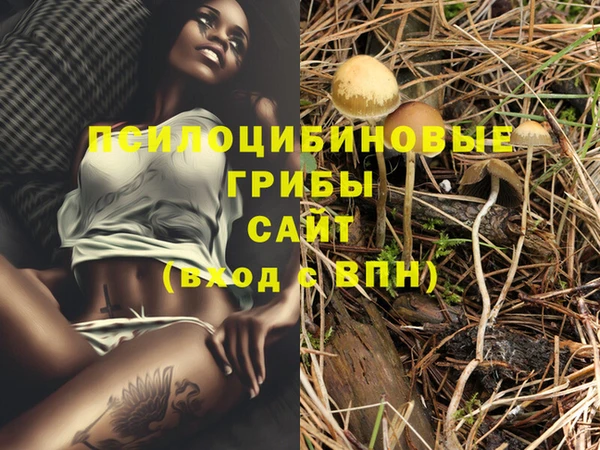 прущая мука Абинск