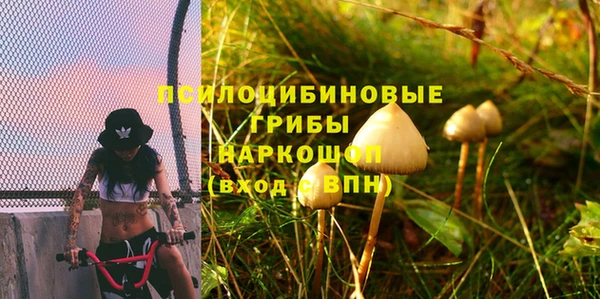 2c-b Алзамай