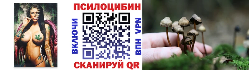 сайты даркнета как зайти  где можно купить наркотик  Вышний Волочёк  Галлюциногенные грибы Psilocybine cubensis 